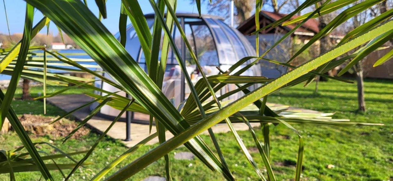Le Dome Du Lac Ardres Ngoại thất bức ảnh